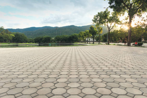 Best Paver Driveway Replacement  in Clarence, IA