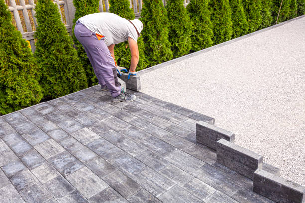 Trusted Clarence, IA Driveway Pavers Experts